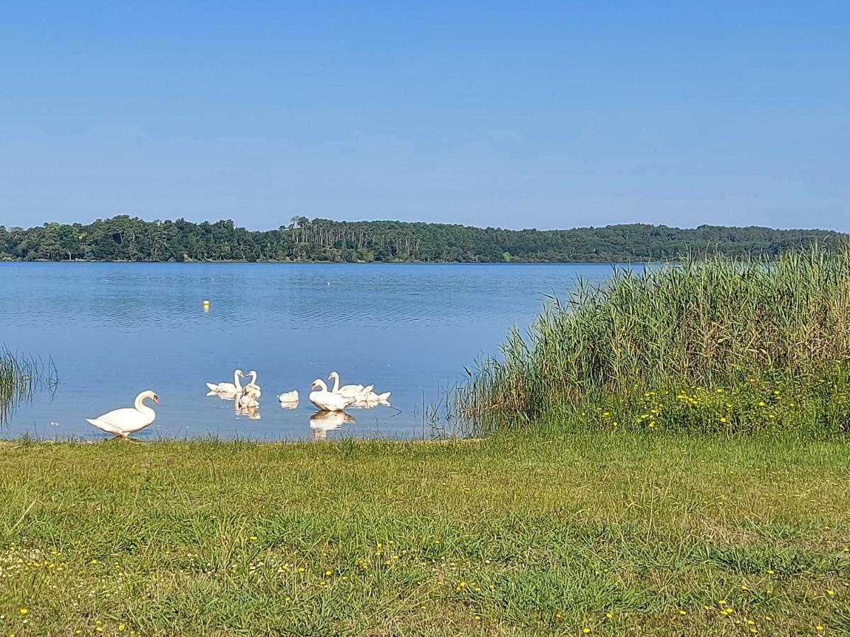 T2, 50M Du Lac, Piscine, Wifi, Jardin Terrasse Sans Vis-A-Vis, 1 A 4 Pers Aureilhan  Экстерьер фото